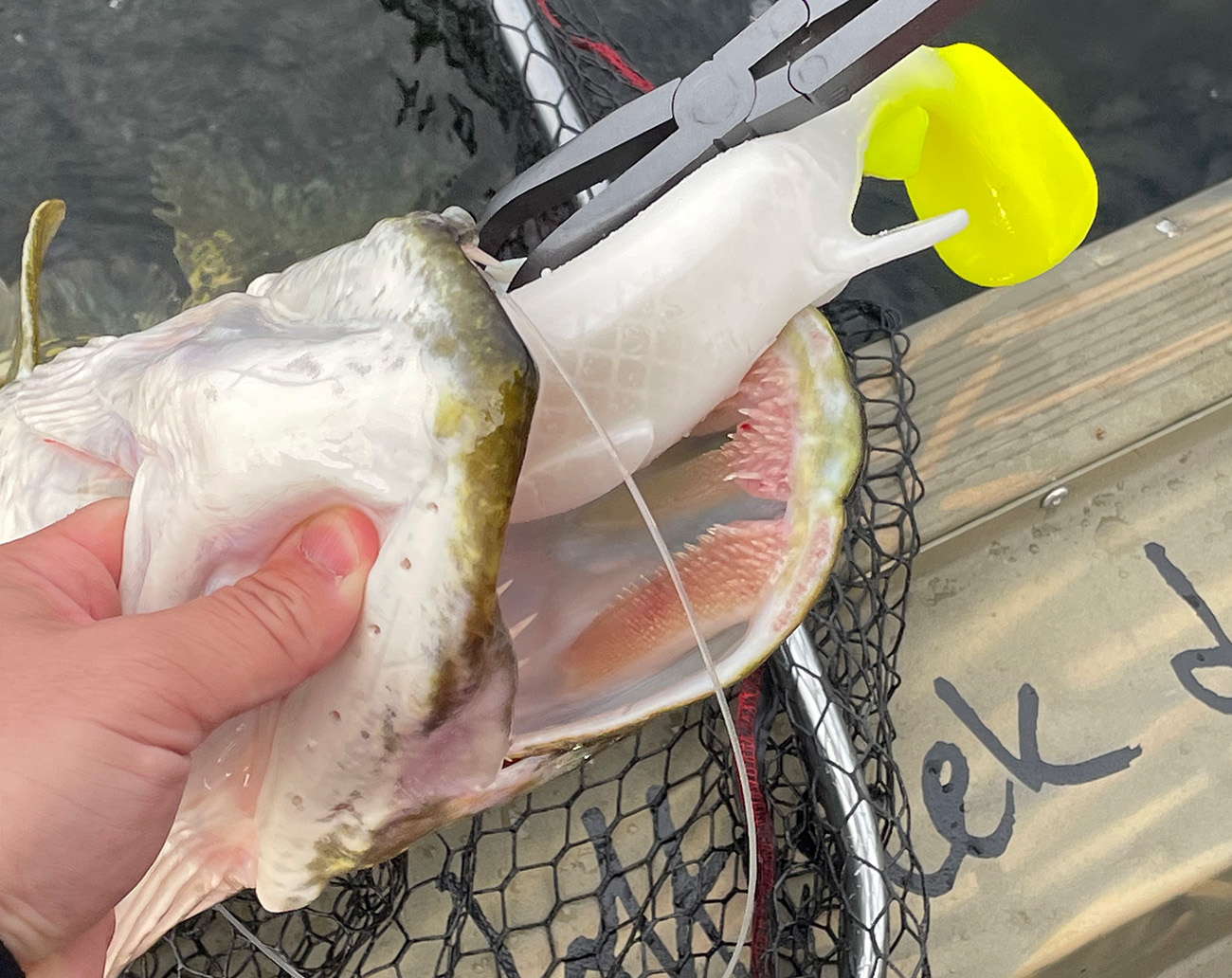 Wolfcreek Curly 29 cm